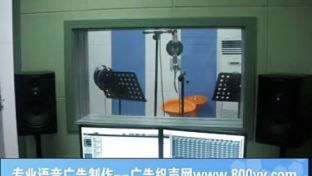 商超產品播報與廣告錄音制作服務